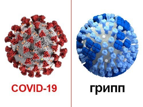 Чем отличается ковид 19