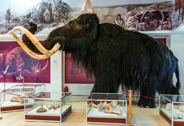 Музей на территории села Костёнки