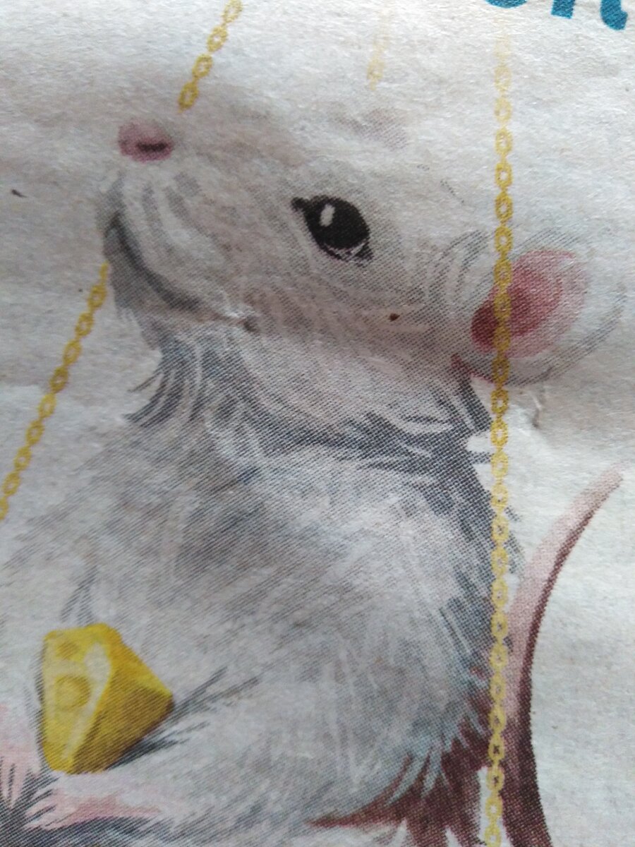 Крыска 2020 фото из открытых источников