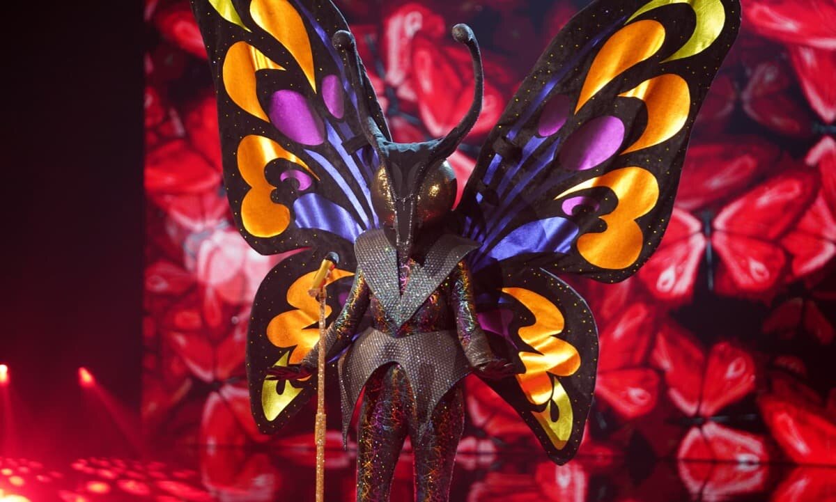 Бабочка в шоу маска песни. The masked Singer бабочка. Маска бабочки в шоу маска. Костюм бабочки шоу маска. Шоу бабочек.