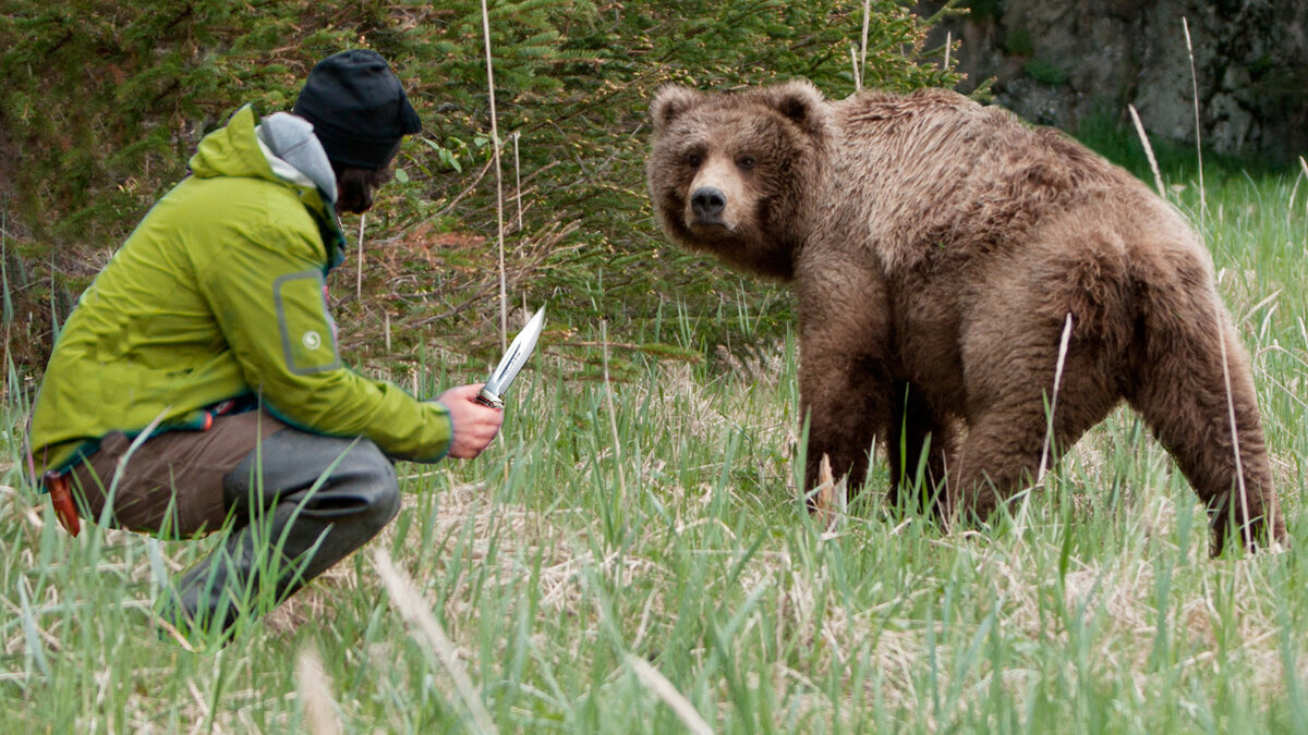 Медведь и человек. Встреча человека с медведем. Охотника разодрал медведь. Медведь с палкой.