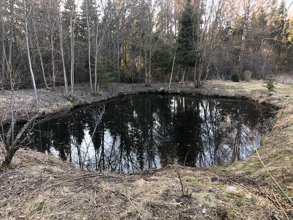 Сказочный пруд, Московская область