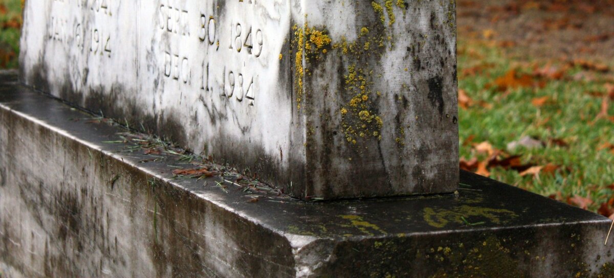 Мрамор обрастает черным налётом, который удалить обычными способами невозможно