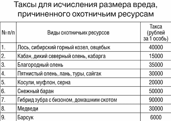 Бесплатно только мухи: Неприятные нюансы ДТП с животными про которые не знают многие водители