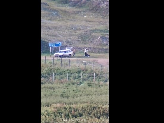 кадр из видео блогера 