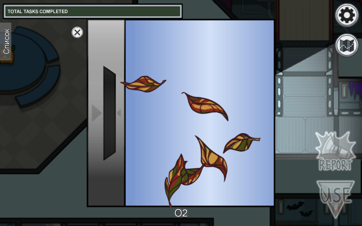 Окно выполнения задания