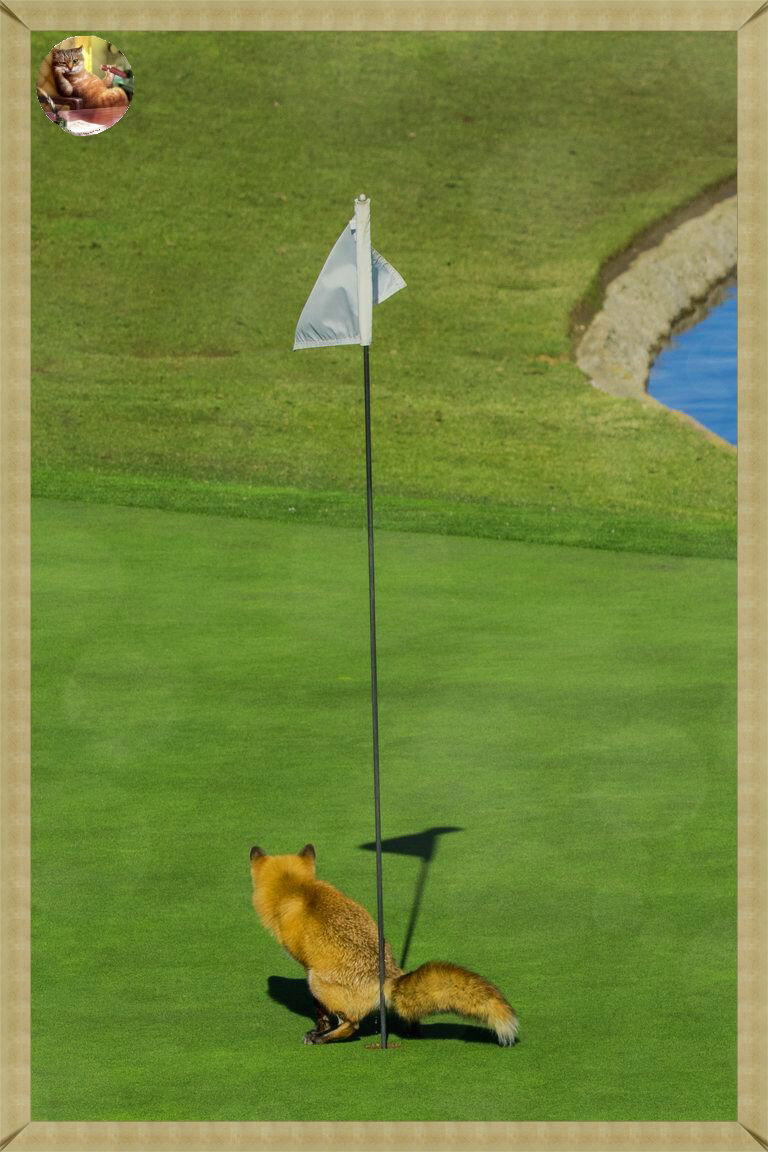 Точно в цель