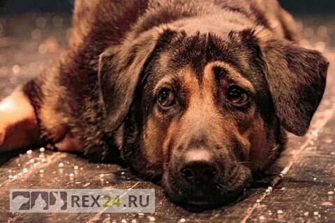 Фото: progorodchelny.ru