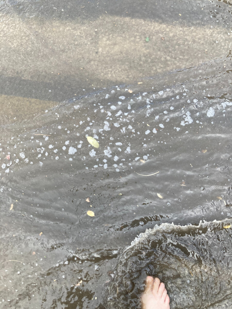 Если присмотреться, то видно желтые полосы пешеходного перехода.