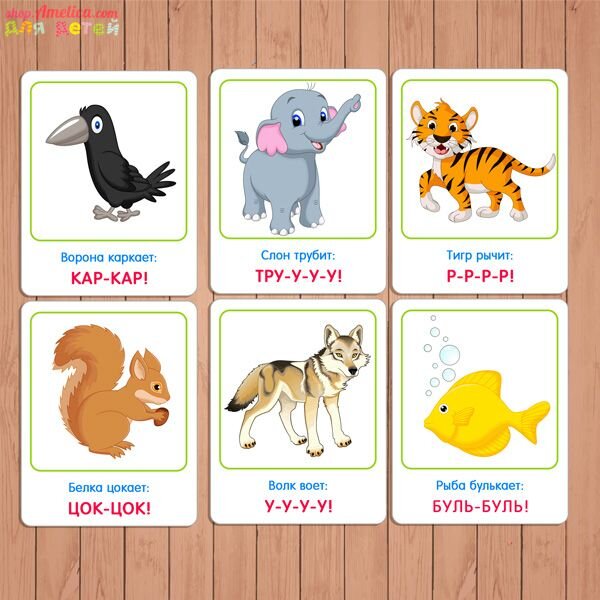 Обязательно купите ребёнку развивающие карточки, их сейчас очень много видов