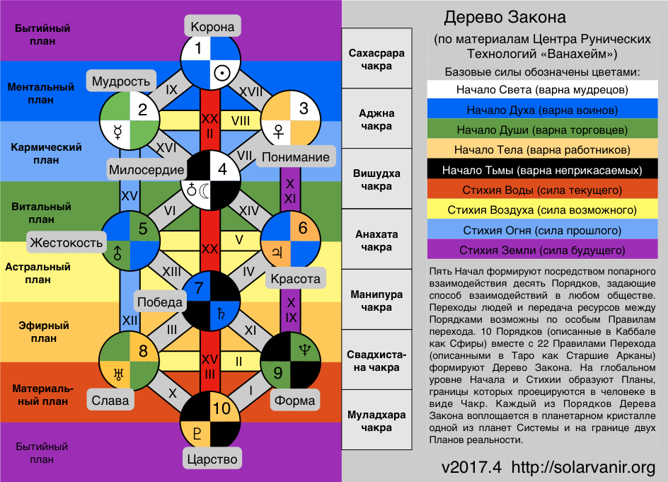 Древо Сефирот стихии. Каббалистическое Древо жизни с 10 сефиротами. Дерево Сефирот и арканы Таро. Дерево Сефирот и чакры.