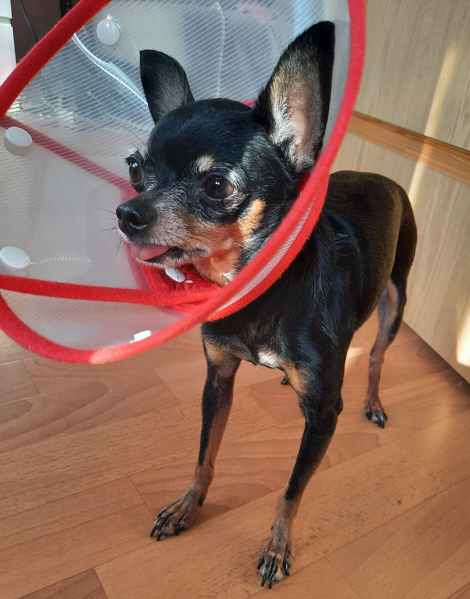 Авторское фото 