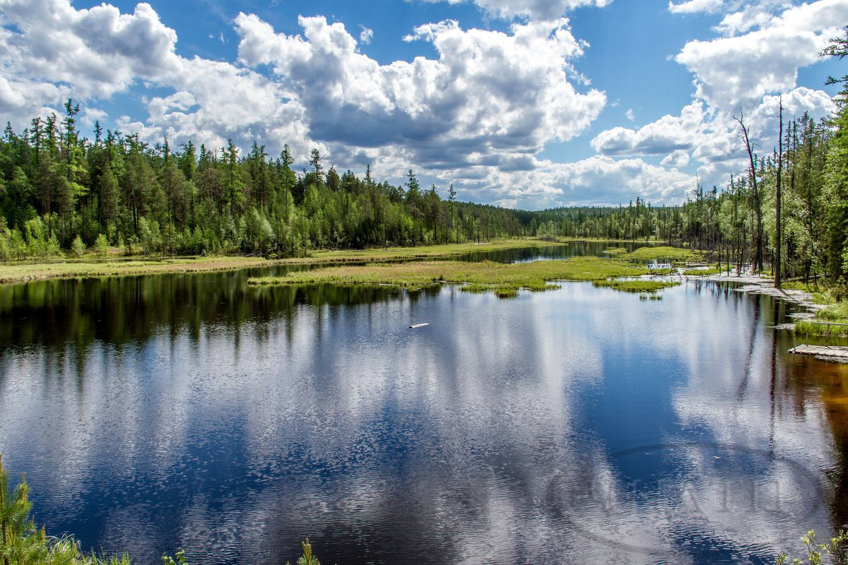 озеро лесное омск