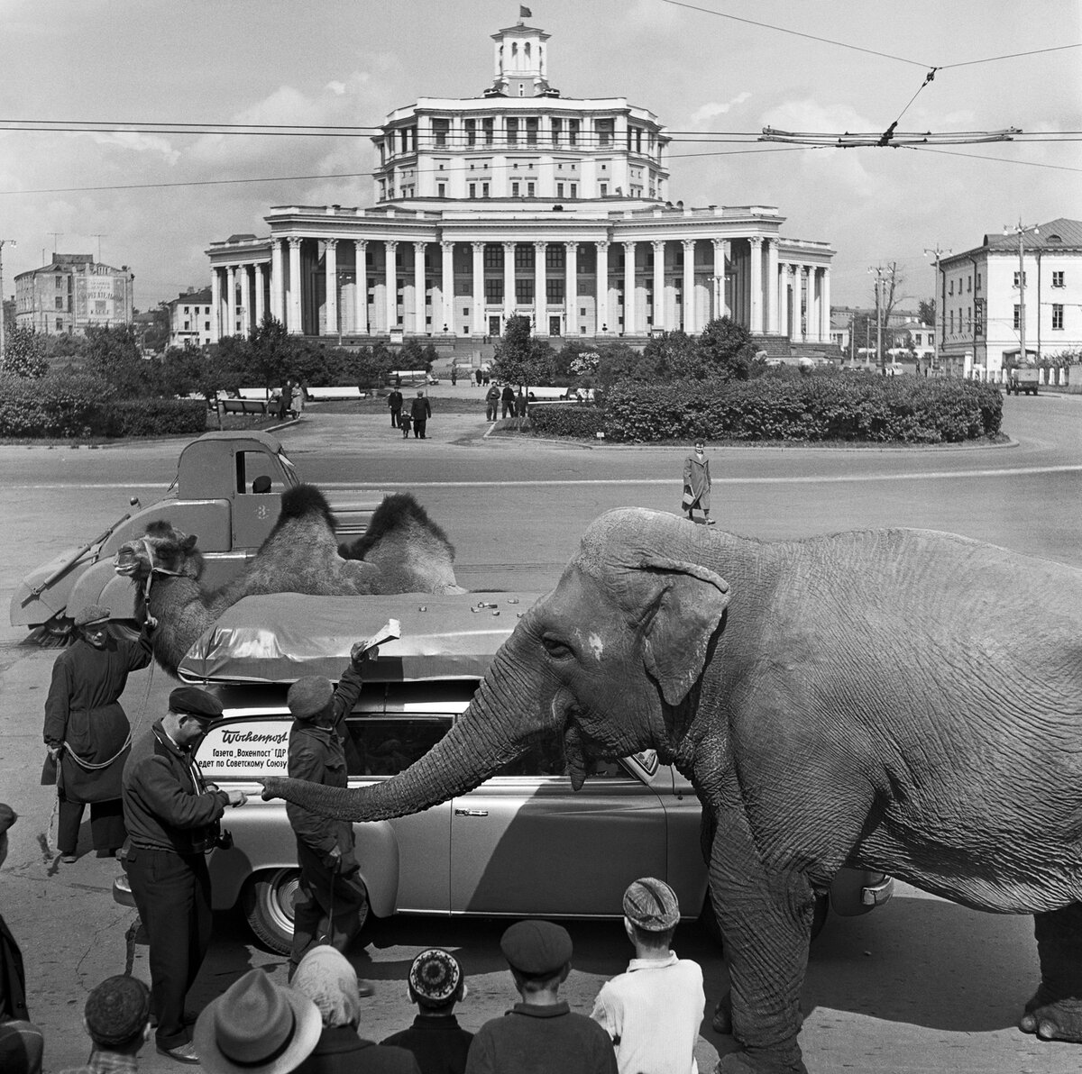 Эрвин Волков. Москва. У театра Российской Армии. 1957 © Галерея Люмьер