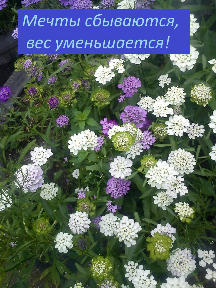 Обращаю свое внимание на это. стараюсь радоваться этому, ищу награду.