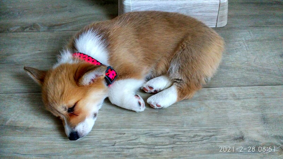 Второй день дома!