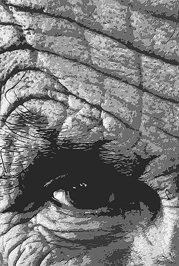 Фотокартина Игоря Потёмкина