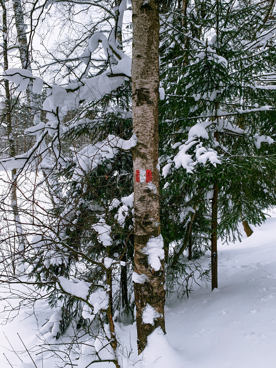 метки на дороге