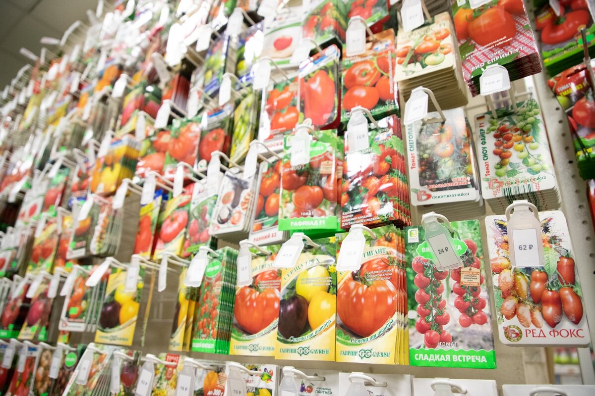 Фото: Тульская служба новостей