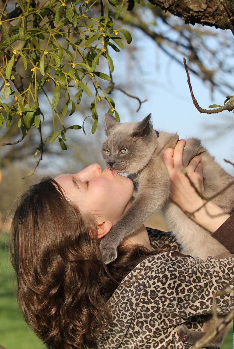 Кошка тоже Яндекса, а то мои вам, наверное, уже надоели) 