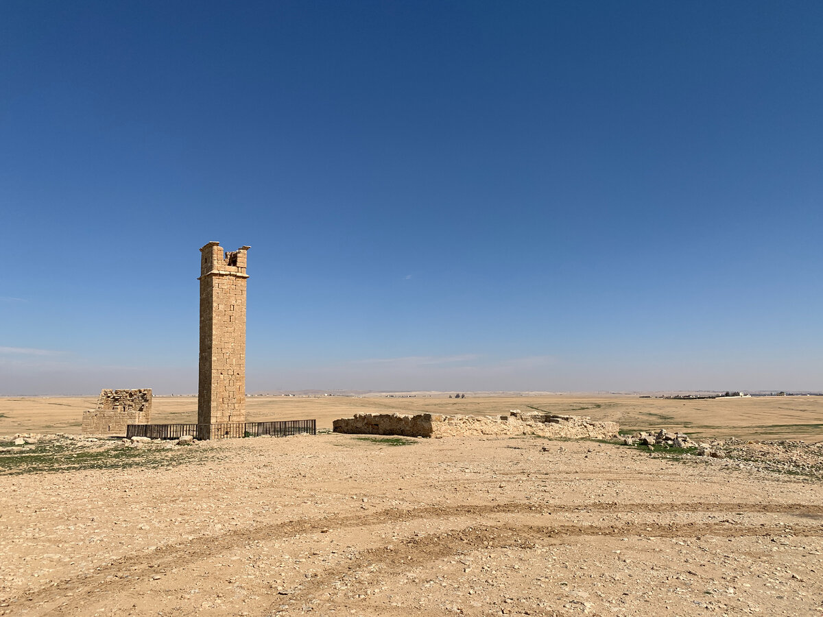Башня и комплекс зданий рядом с ней. Фото автора. Листайте галерею, чтобы увидеть больше