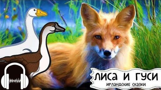 Лиса и гуси 🦊 Ирландская сказка