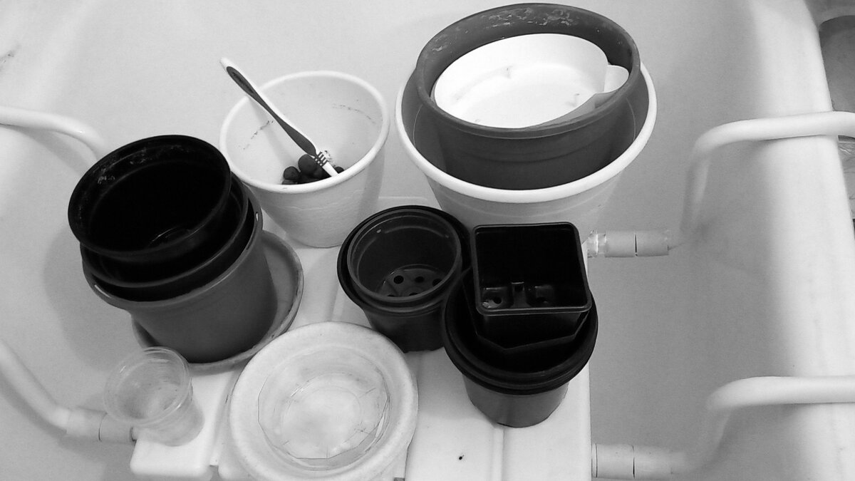 Эти уже отмыты и ждут  соответствующего наполнения 