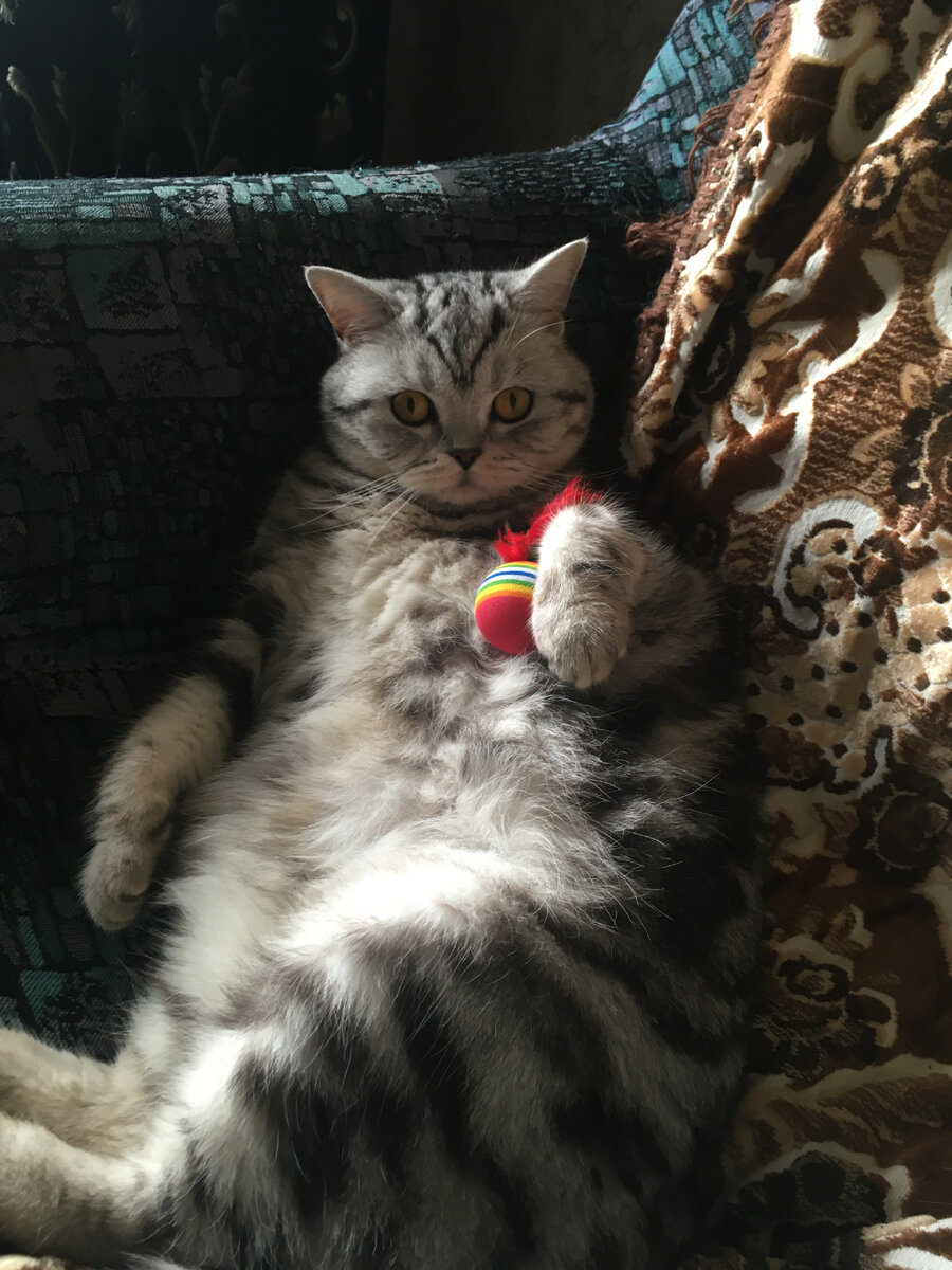 Моя спасительница!