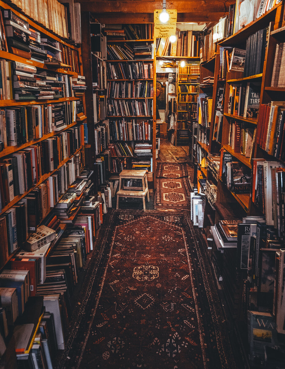 Photo by Norbert Tóth on Unsplash