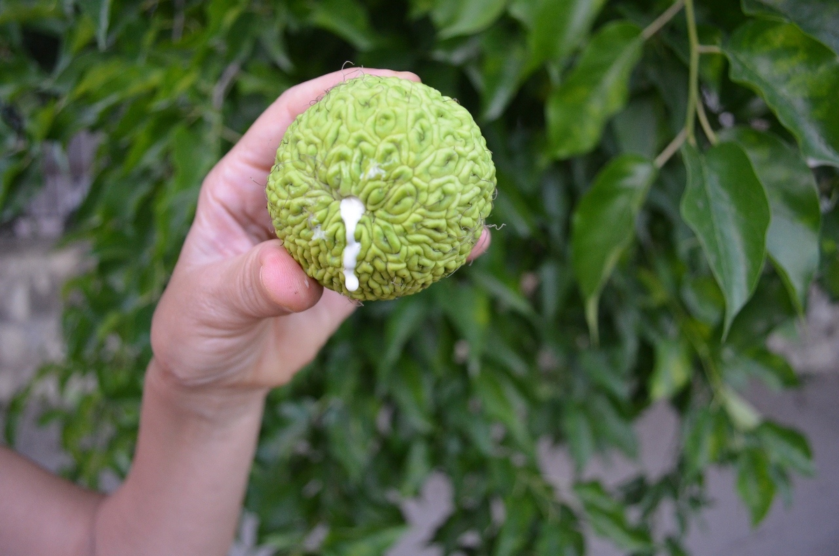 Каждый придумает подпись в меру своей испорченности 