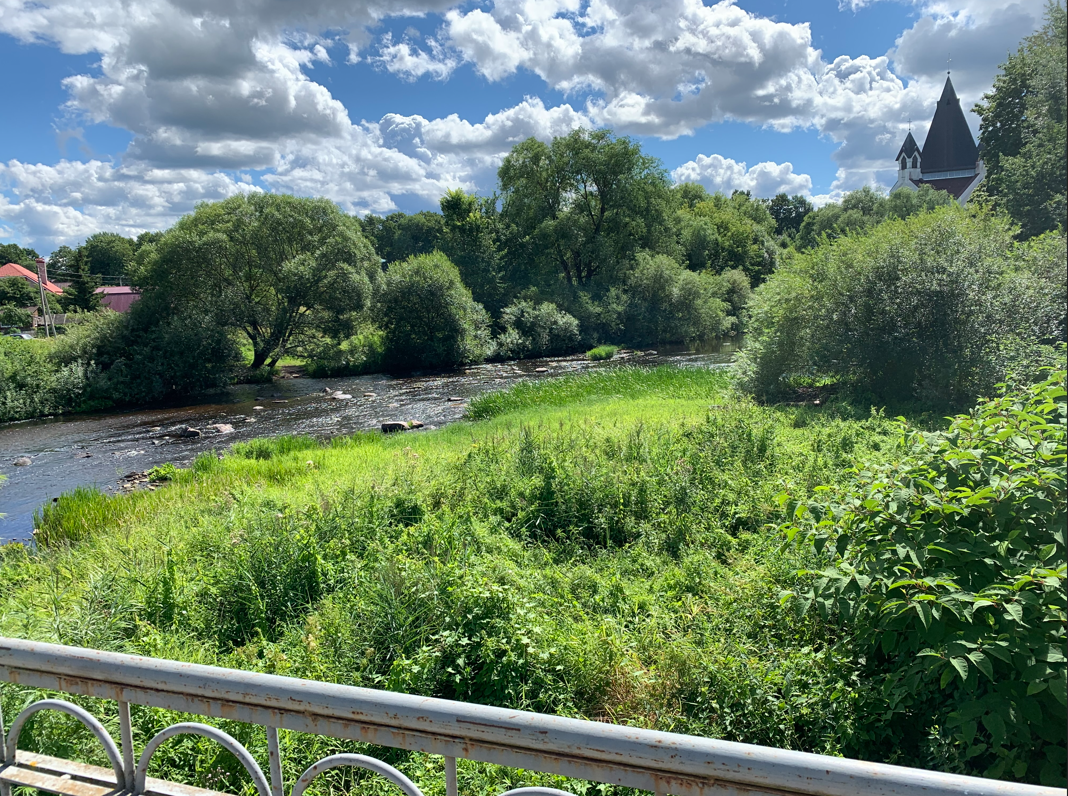 Вид с моста под переулком Каменным. Фото Ильи Сергеева