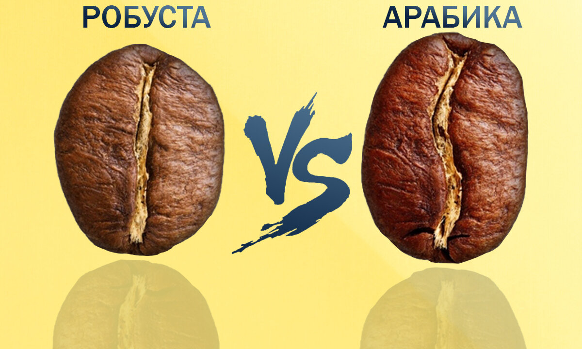 На фото два вида зерна Арабика и робуста