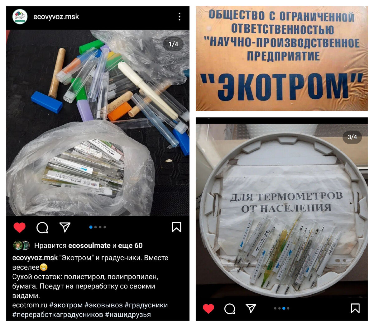 Из соцсети Эковывоза