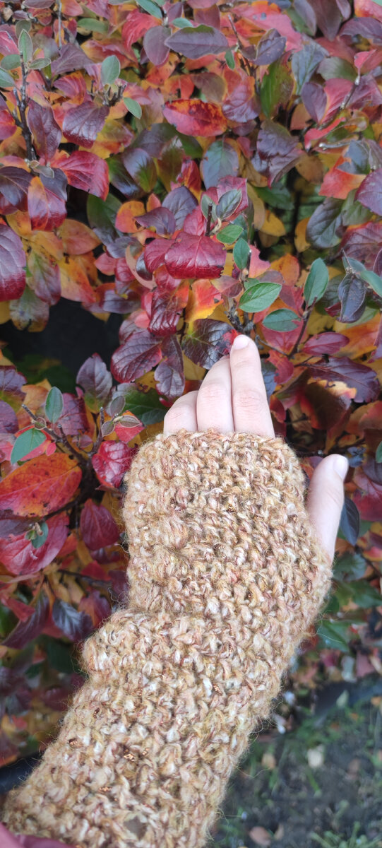 Красивая нынче осень в Петербурге! 