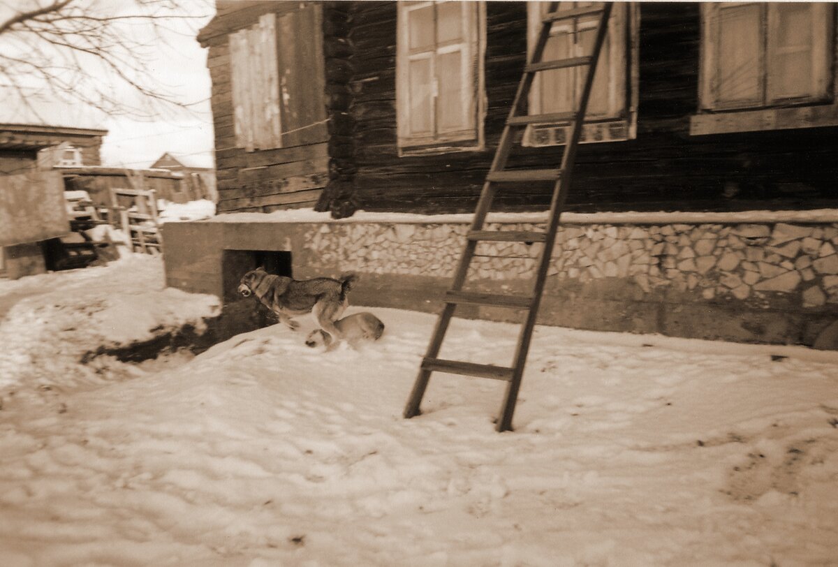 Рада и Серый, дом со стороны огорода, зима 2003-2004 гг.