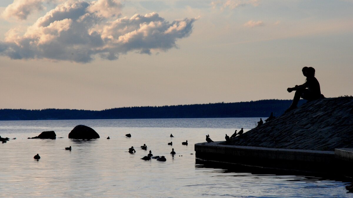     В Ростове на выходных ожидается похолодание до +7 градусов, об этом сообщили специалисты Ростовского гидрометцентра.