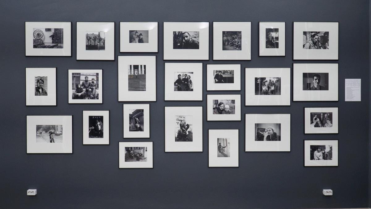    Фото: Дмитрий Абрамов / MR7