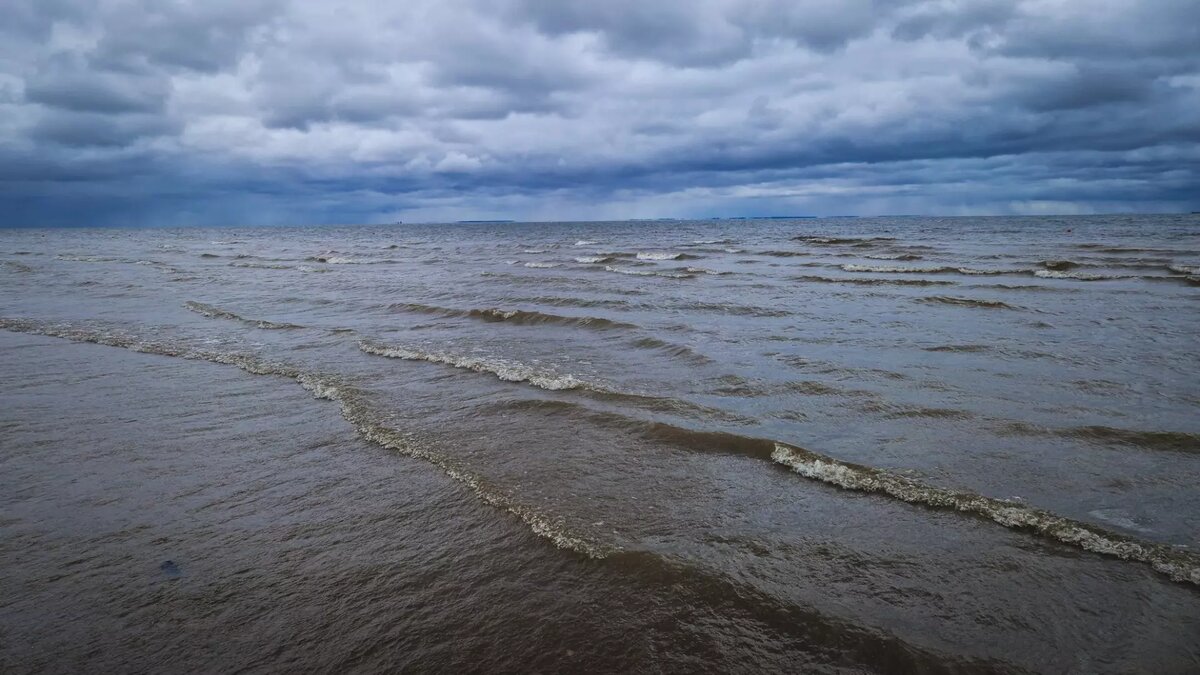     В Ростовской области на берегу Таганрогского залива заметили большое количество мертвых дельфинов, сообщается в соцсети «ВКонтакте» в группе «Ростов Главный — новости Ростова-на-Дону».