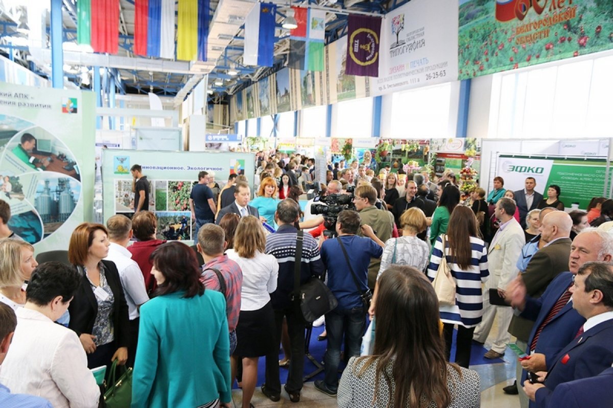    Белгородцев приглашают на межрегиональную выставку «Осенние мотивы»