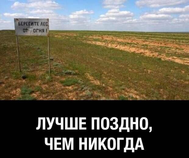 Картинка из открытых источников. 