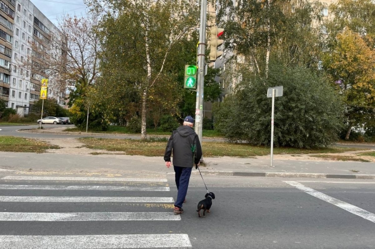    На дорогах в Ярославской области установят еще три тысячи камер