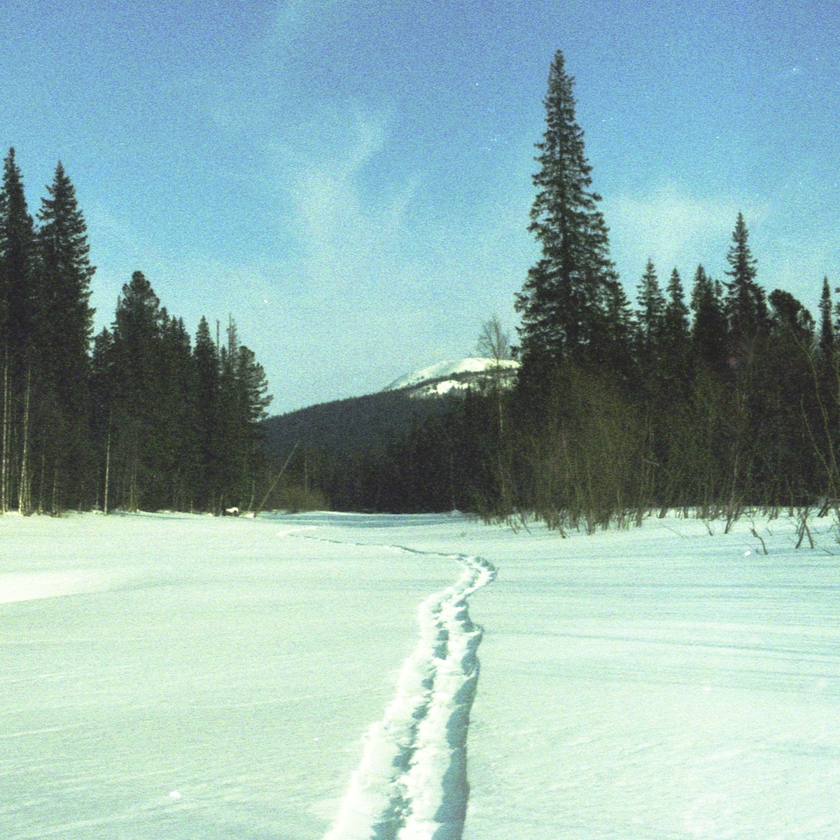  весна (фото автора)