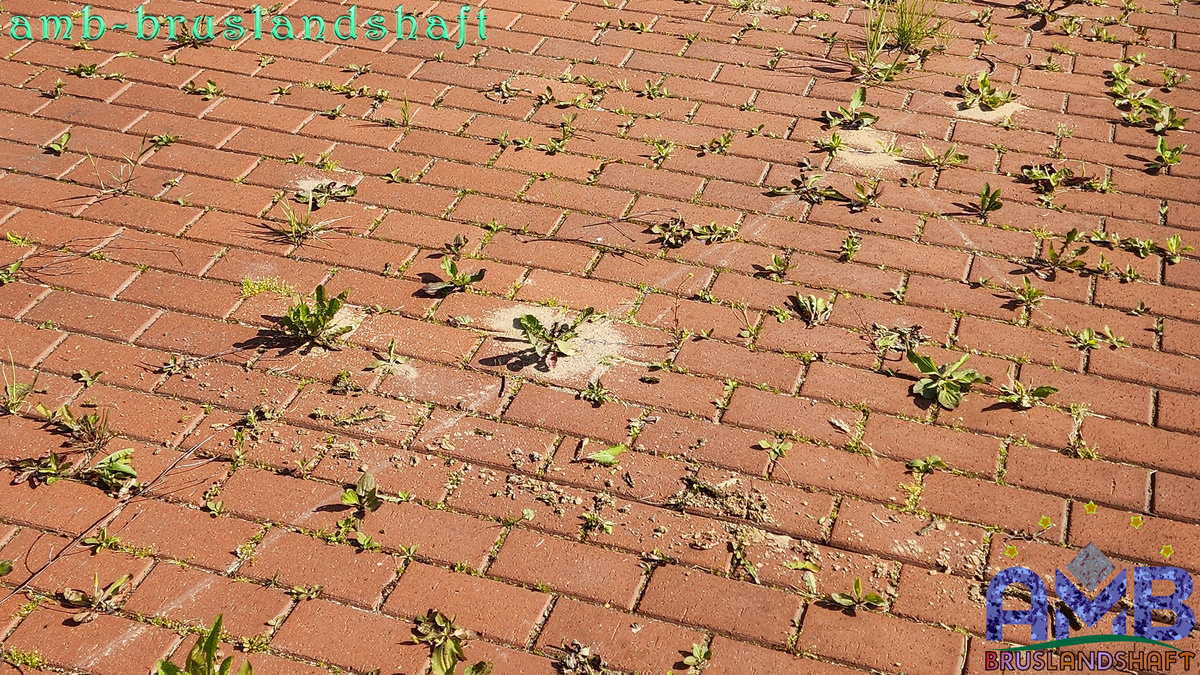 песок швы брусчатка вымывается