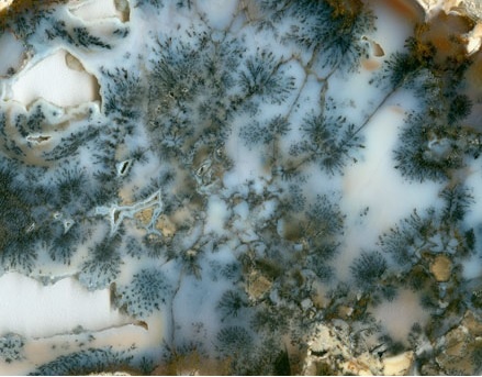 Агат моховой (фрагмент)