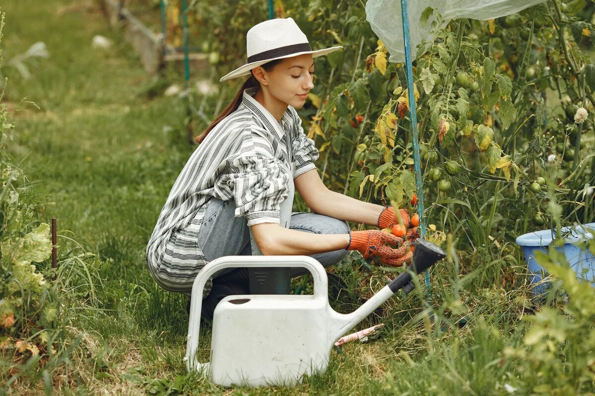 Изображение: Freepik.com