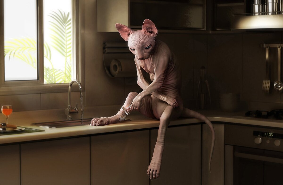 Изображение взято из открытых источников сети Интернет Яндекс.Картинки