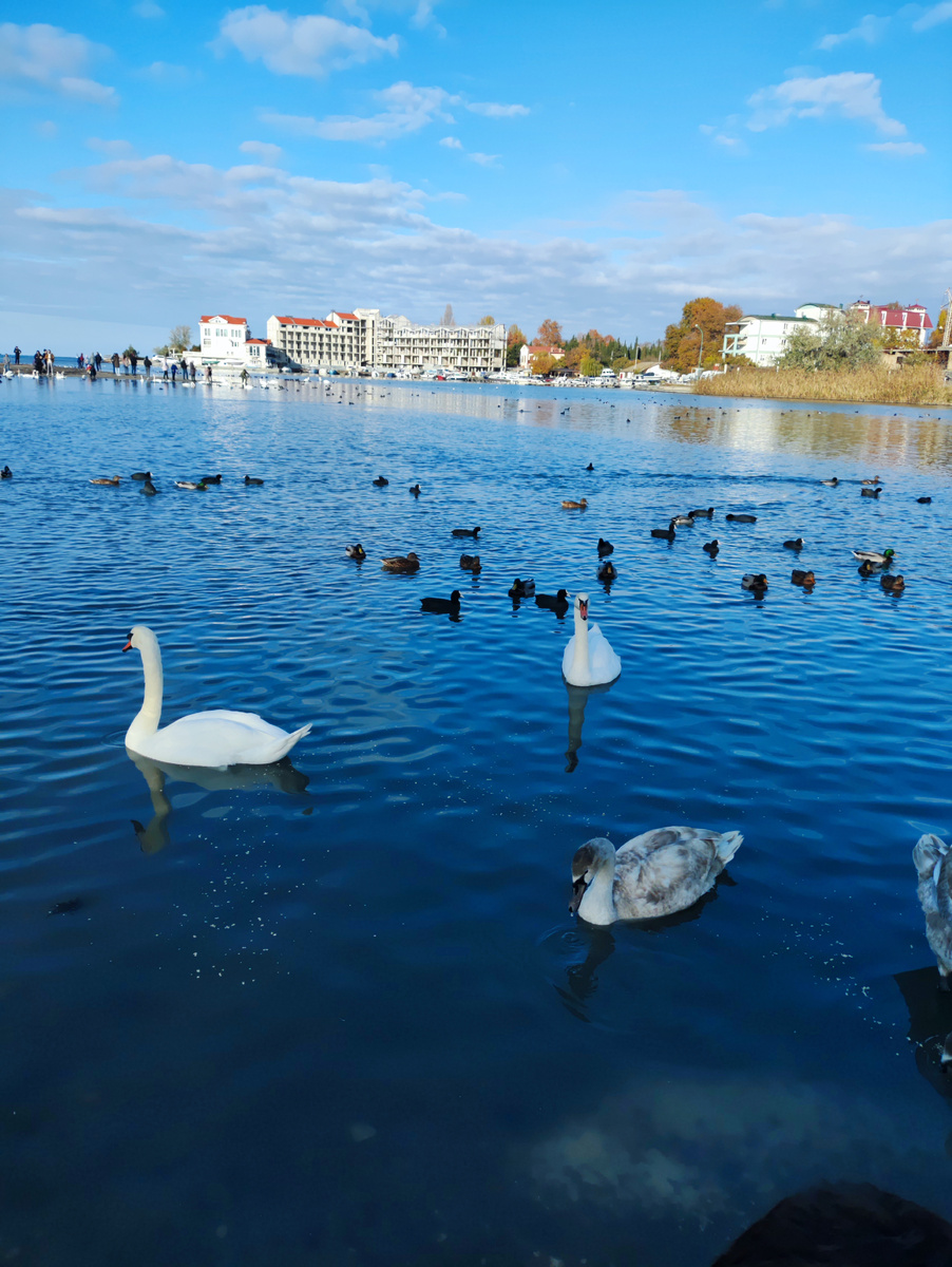 Тёплая бухта Омега принимает гостей