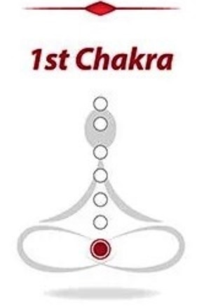 Первая чакра - Муладхара