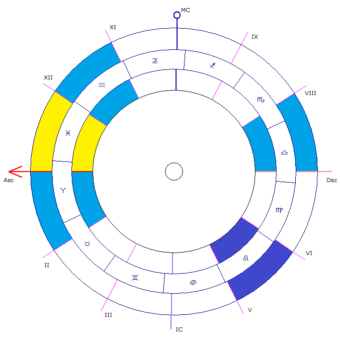 Пятый дом в астрологии (выделен синим)