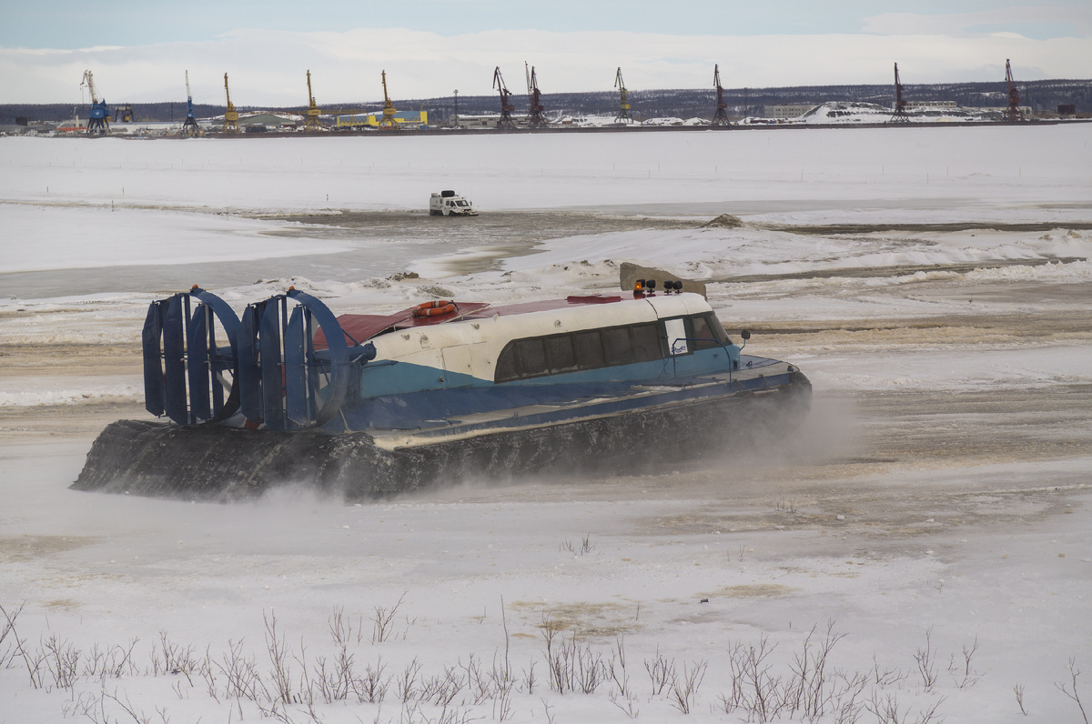 Фото: Evgeny Kuzhilev/Shutterstock/Fotodom